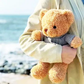 Stuffed Teddy Bear Nanny Camera with Voice Recording and Live Viewing for Child Safety